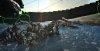 dino.jpg